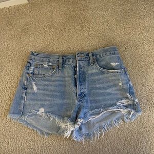Agolde Parker Vintage Short